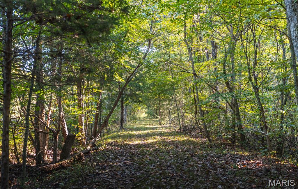 10206 Slice Road Property Photo 55