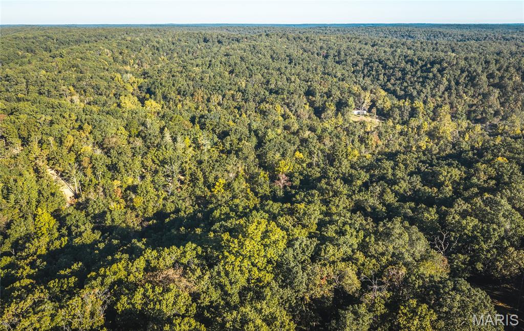 10206 Slice Road Property Photo 60