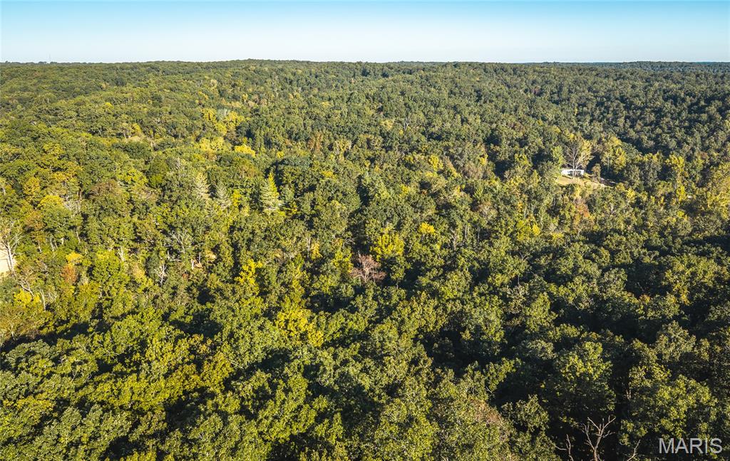10206 Slice Road Property Photo 62