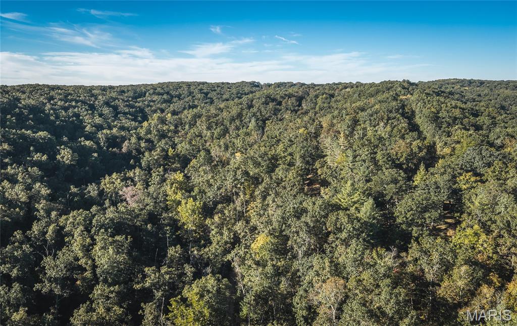 10206 Slice Road Property Photo 64