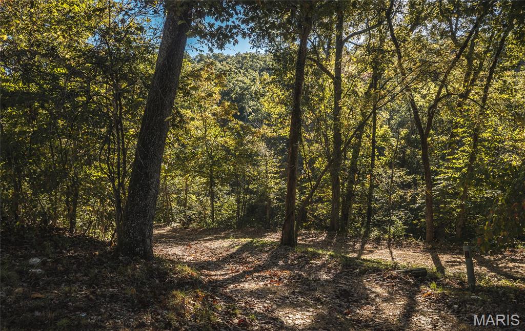10206 Slice Road Property Photo 65