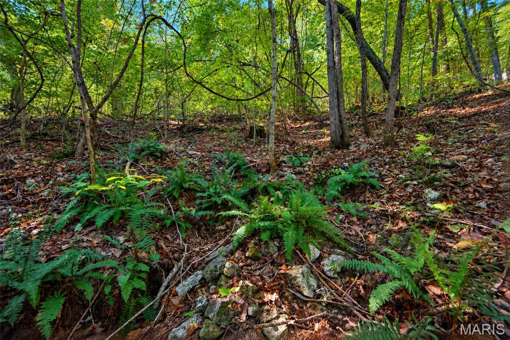 2266 Gravois Road Property Photo 1
