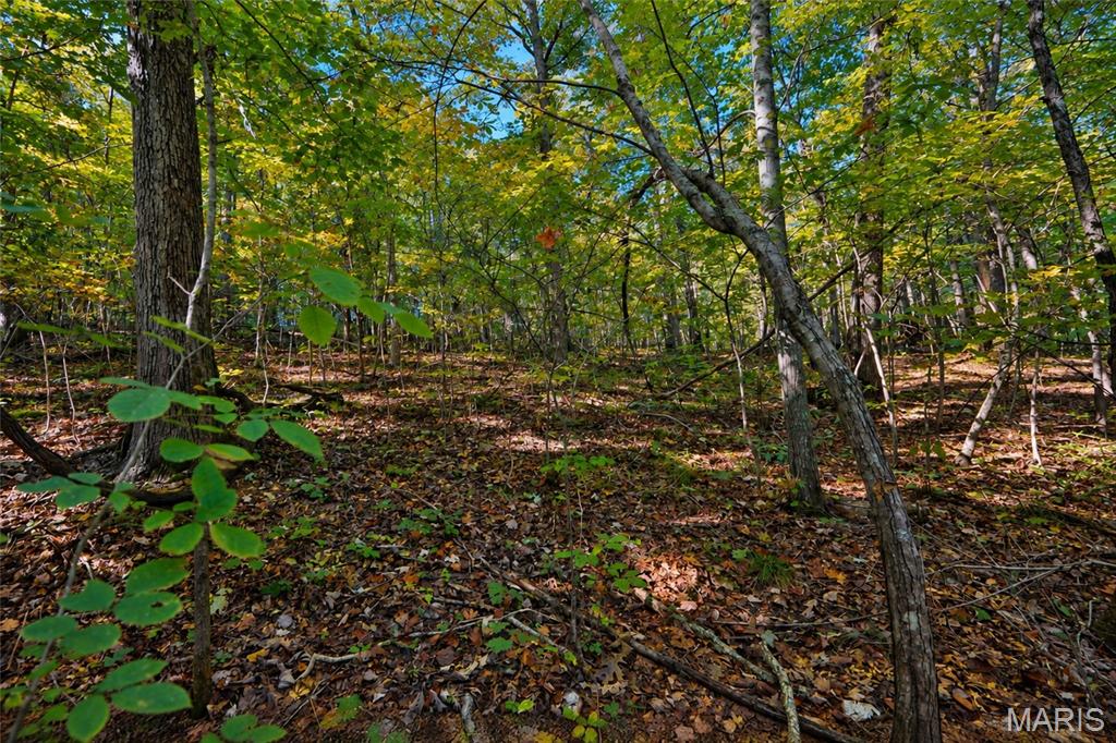 2266 Gravois Road Property Photo 2