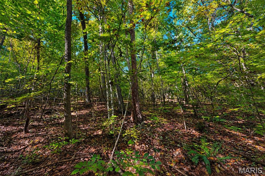 2266 Gravois Road Property Photo 3
