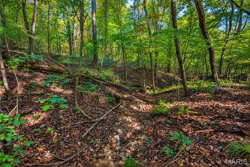 2266 Gravois Road Property Photo 6