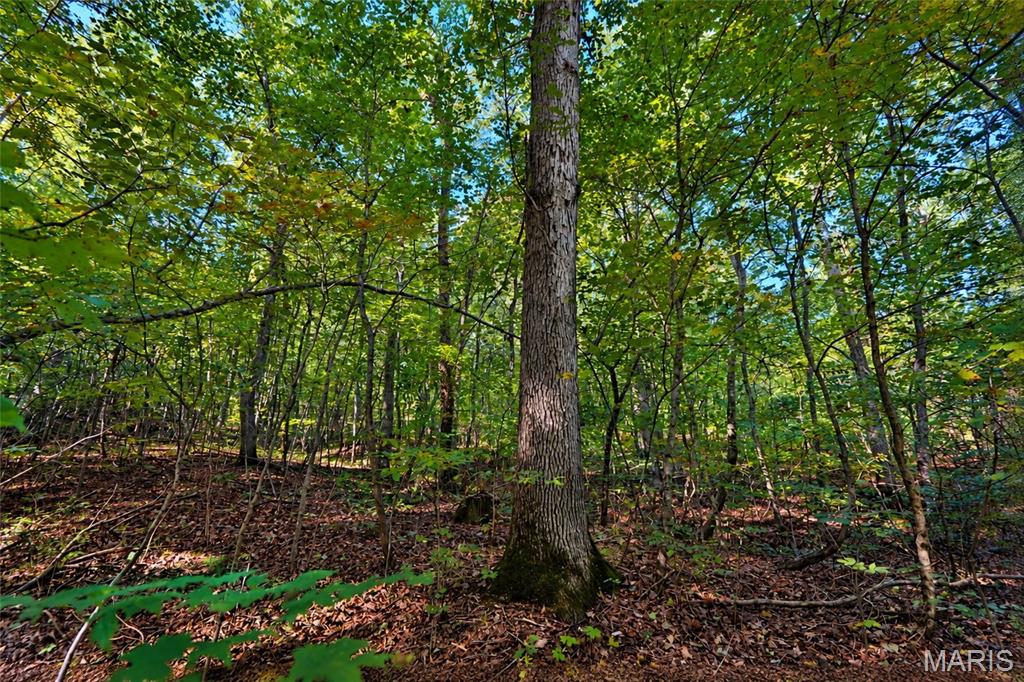 2266 Gravois Road Property Photo 8