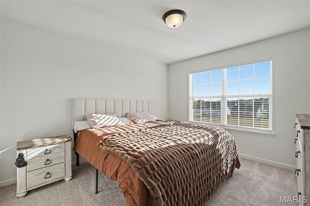 452 Evening Primrose Drive Property Photo 22