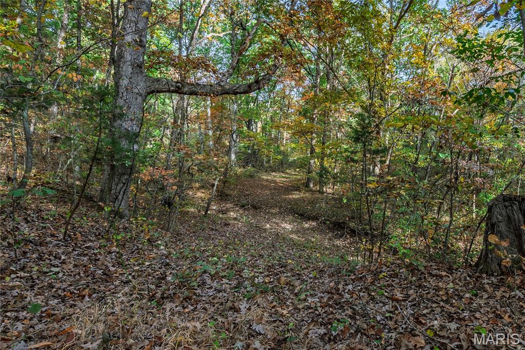 10224 Cedar Tree Lane Property Photo 51