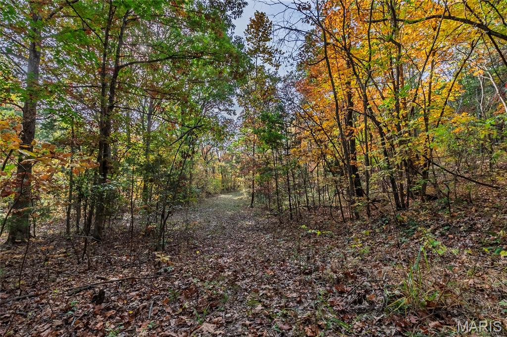 10224 Cedar Tree Lane Property Photo 52