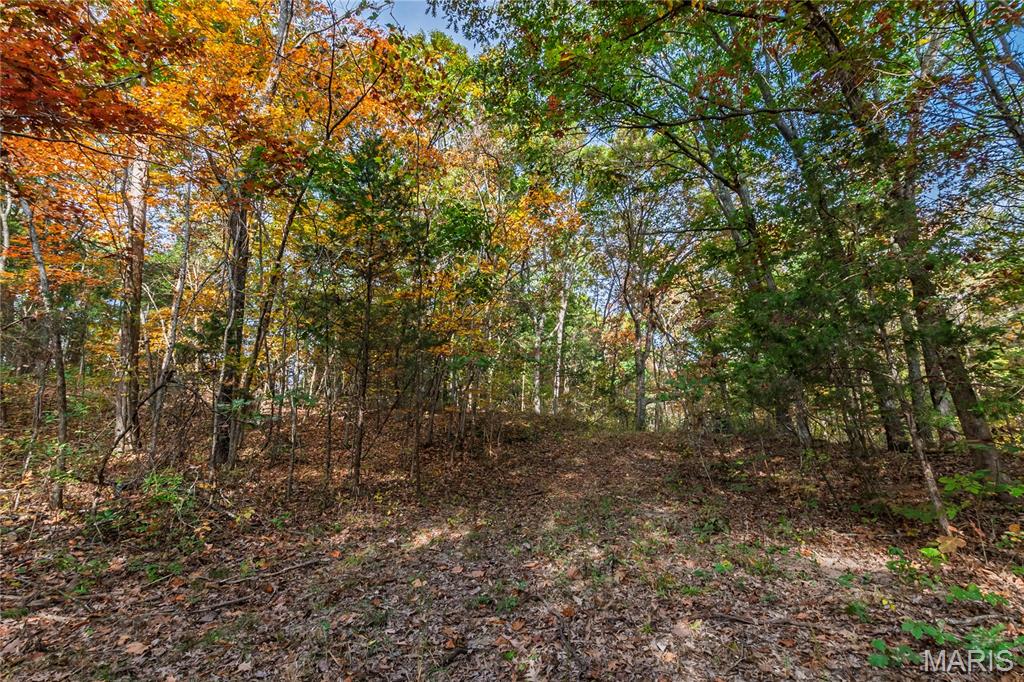 10224 Cedar Tree Lane Property Photo 53