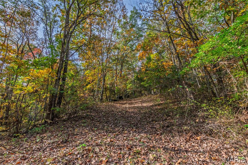 10224 Cedar Tree Lane Property Photo 54