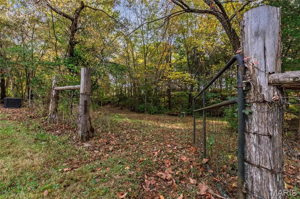10224 Cedar Tree Lane Property Photo 55