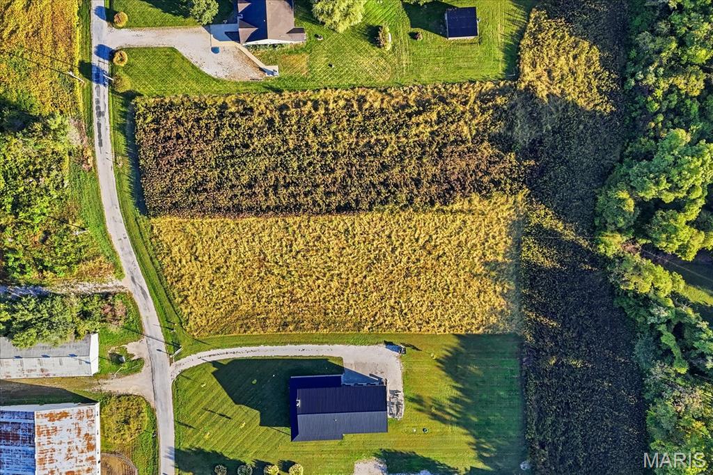 8754 Le Pere School Road Property Photo 16