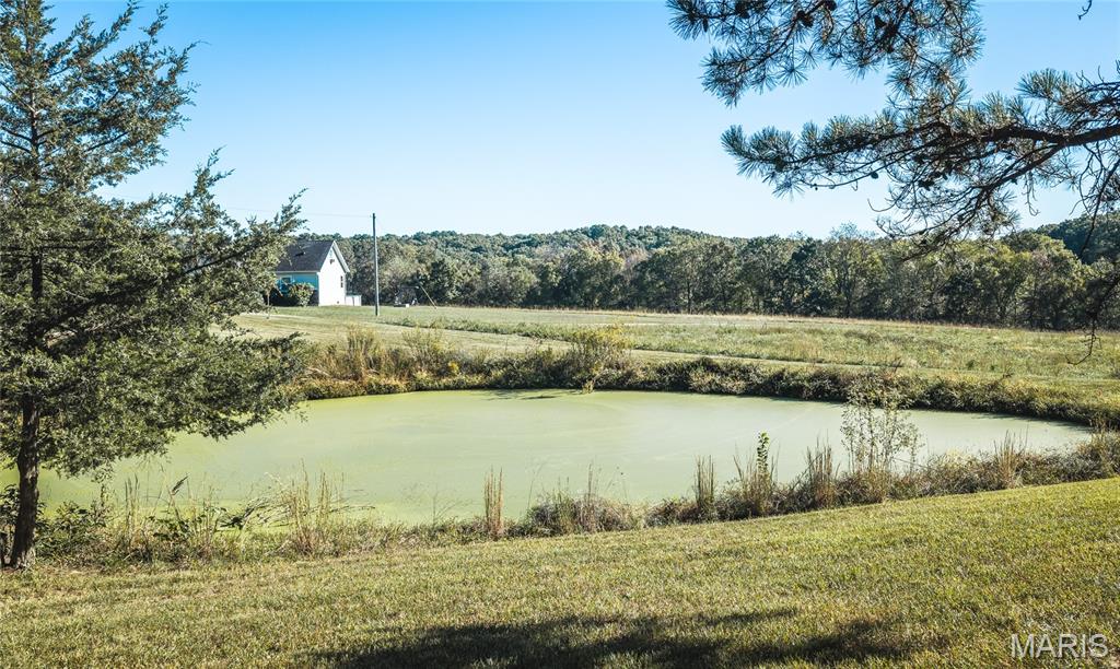 917 Highway Ff Property Photo 31