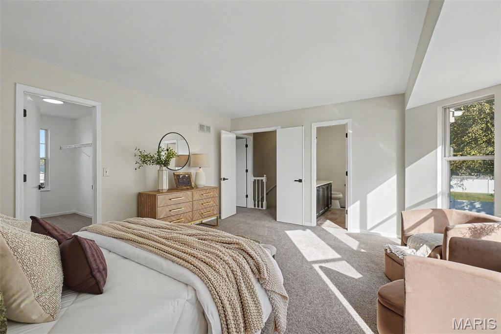 11 Castlio Court Property Photo 22