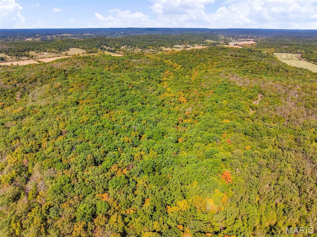 6549 Butcher Branch Road Property Photo 70