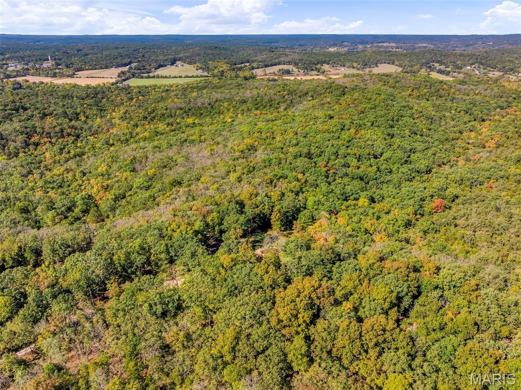 6549 Butcher Branch Road Property Photo 74