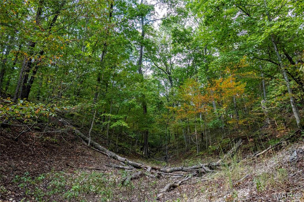 00 Baha Drive Property Photo 15
