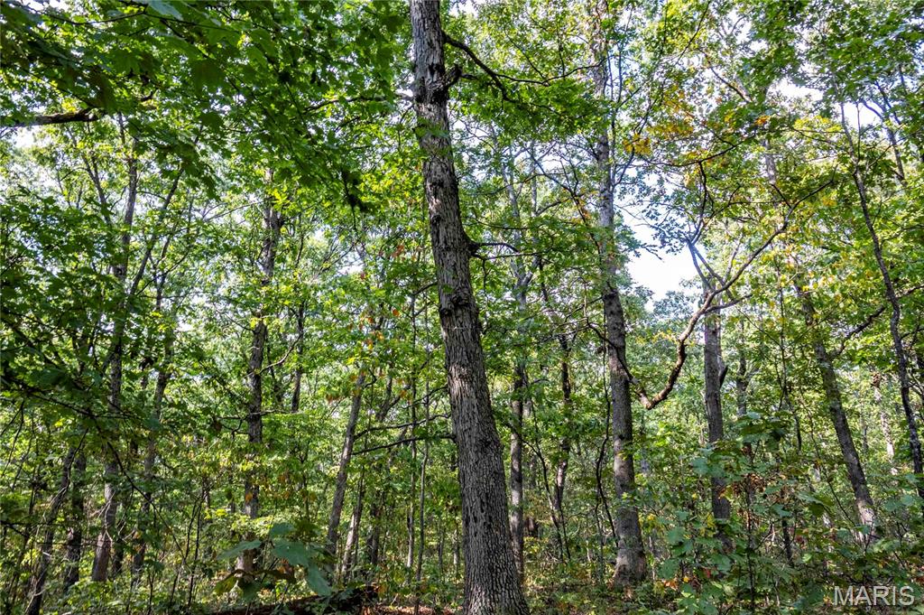 00 Baha Drive Property Photo 18