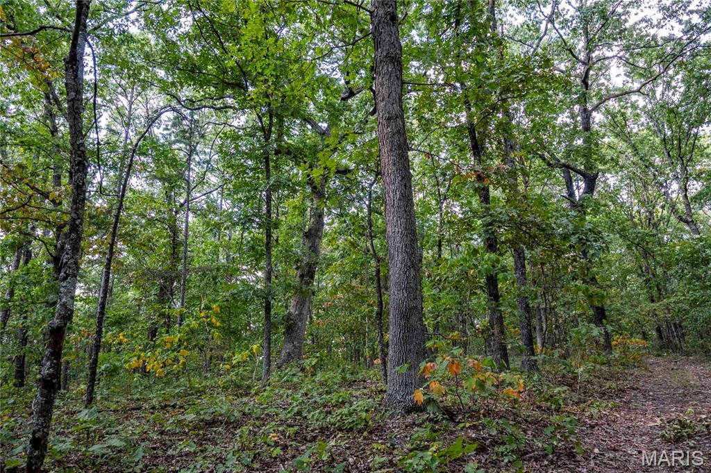 00 Baha Drive Property Photo 32