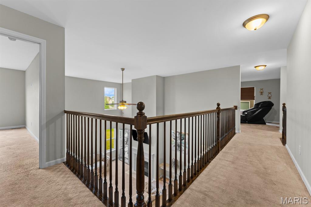 1017 Richland Park Drive Property Photo 17