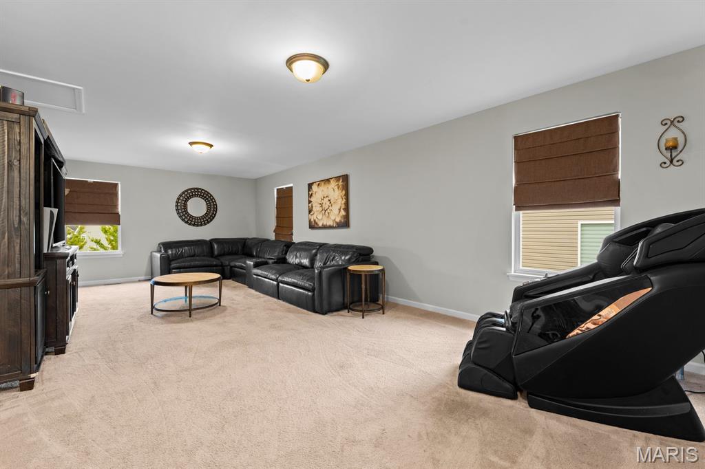 1017 Richland Park Drive Property Photo 18