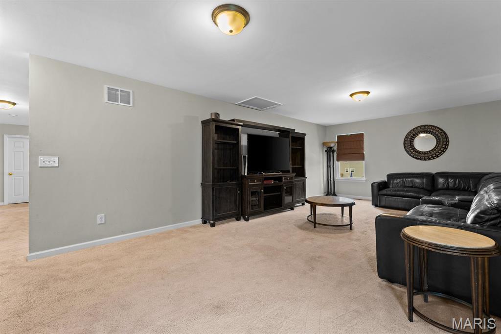 1017 Richland Park Drive Property Photo 20