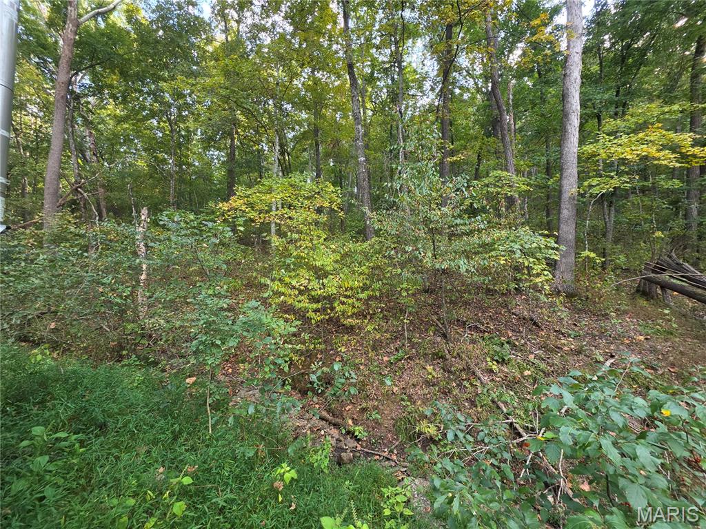17250 Boyd Property Photo 3
