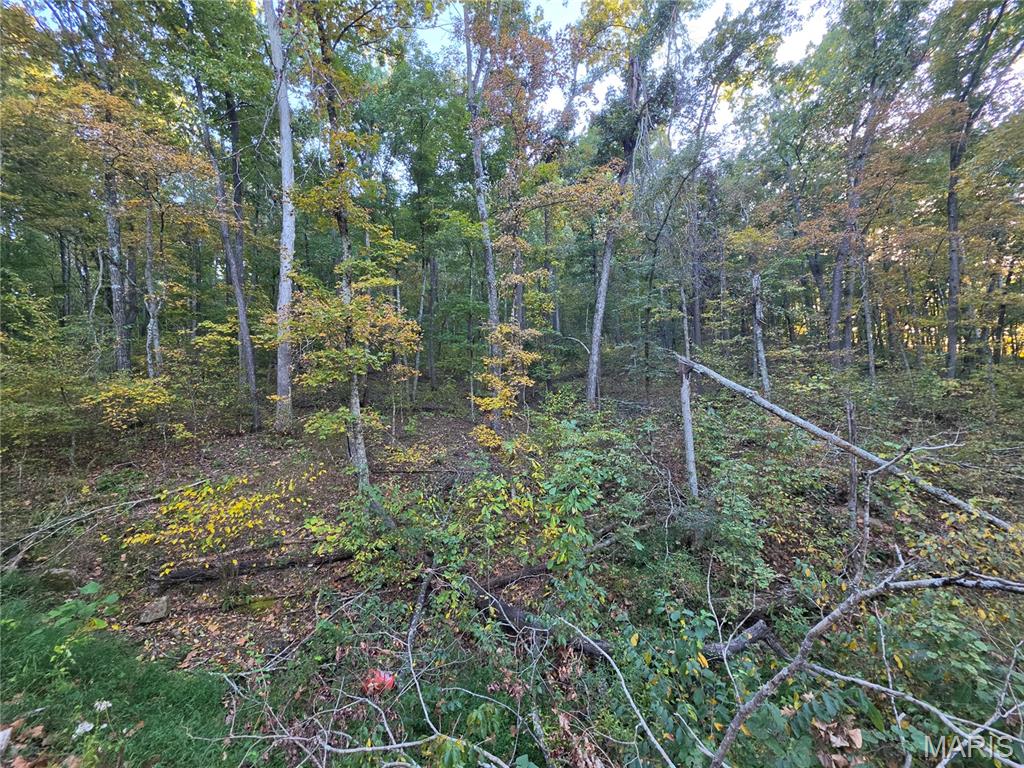 17250 Boyd Property Photo 15