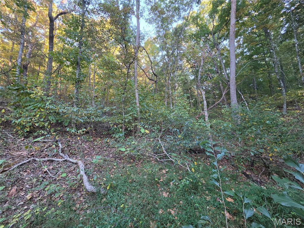 17250 Boyd Property Photo 16
