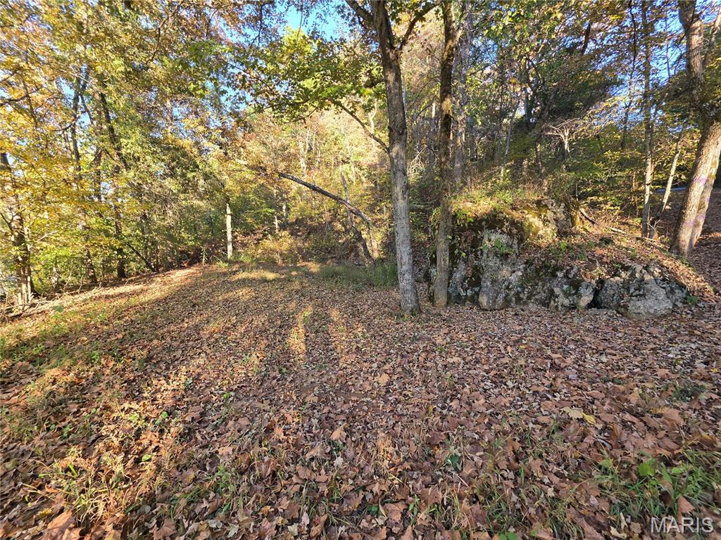 17250 Boyd Property Photo 25