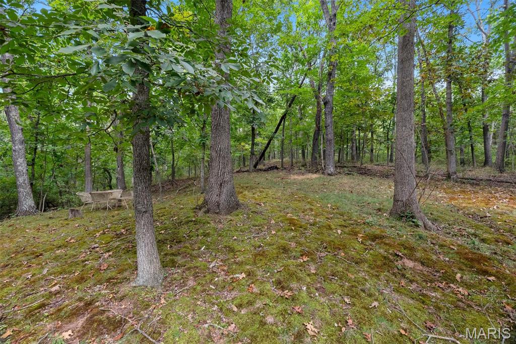 29 Rockwood Forest Valley Property Photo 12