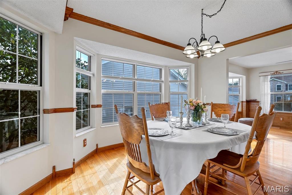1419 Appleton Court Property Photo 10