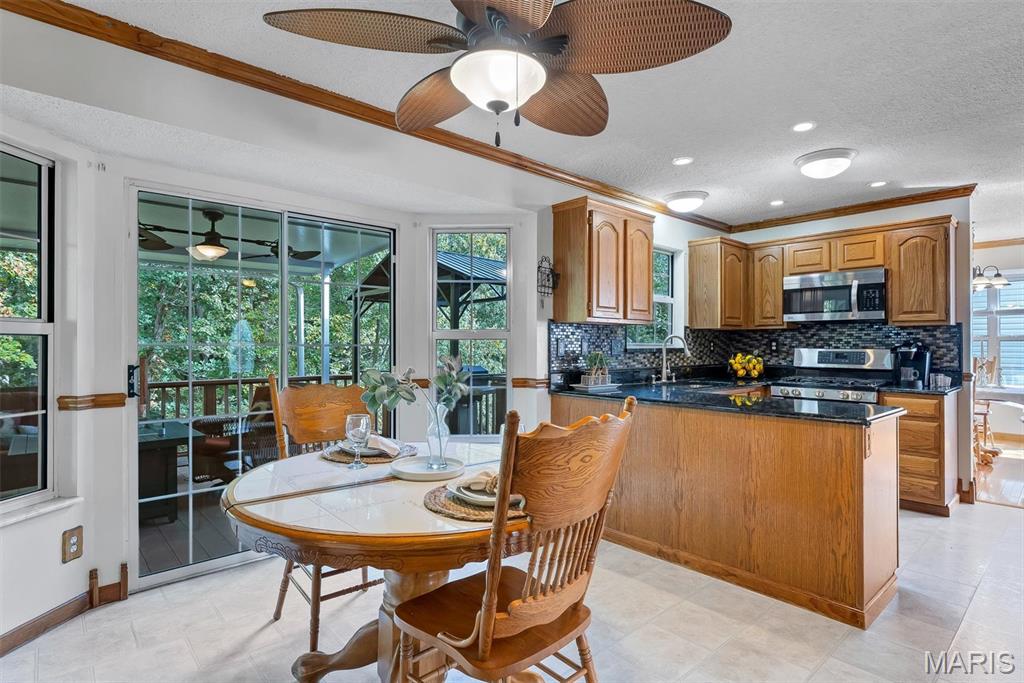 1419 Appleton Court Property Photo 17