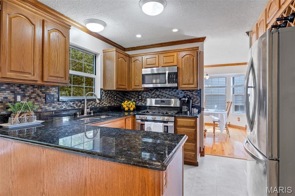 1419 Appleton Court Property Photo 18