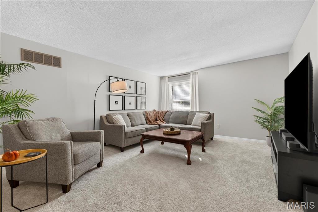 12839 Hasbrook Drive Property Photo 10