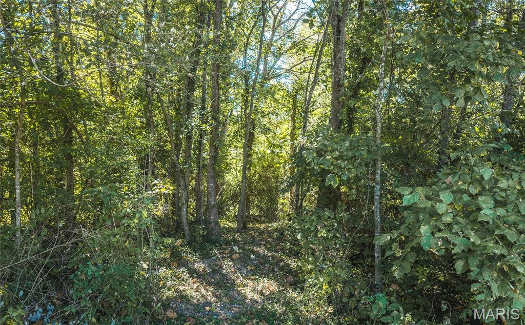 212 Tiny Blossom Fields Property Photo 32