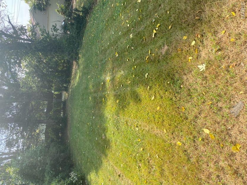 6744 Schofield Place Property Photo 14
