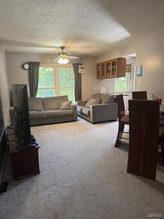 26065435 Property Photo 4