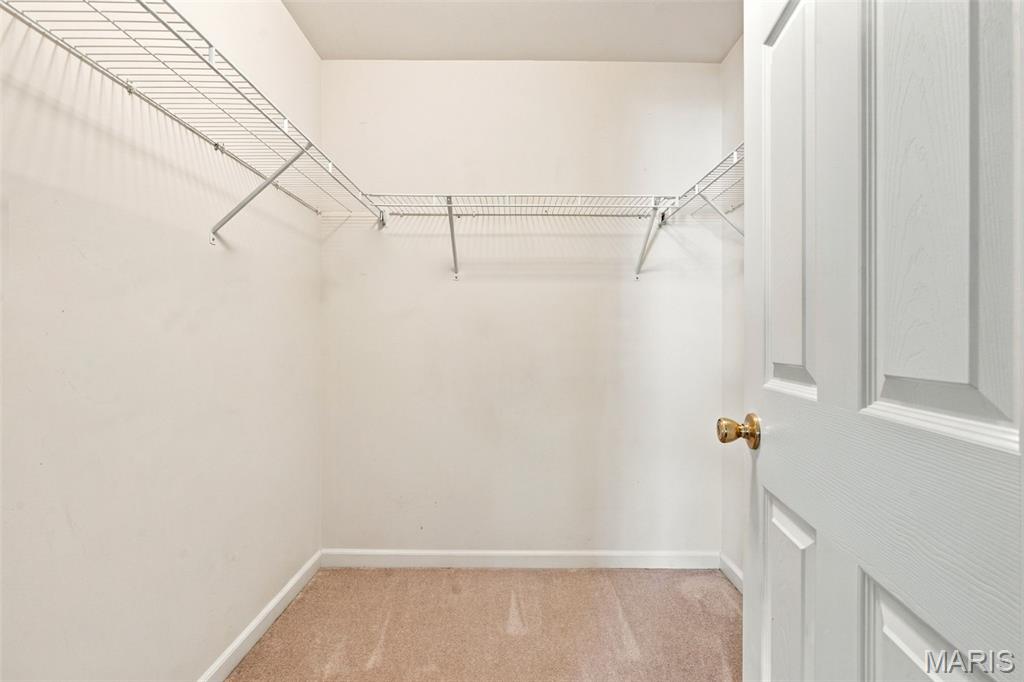 429 Spring Trace Property Photo 28