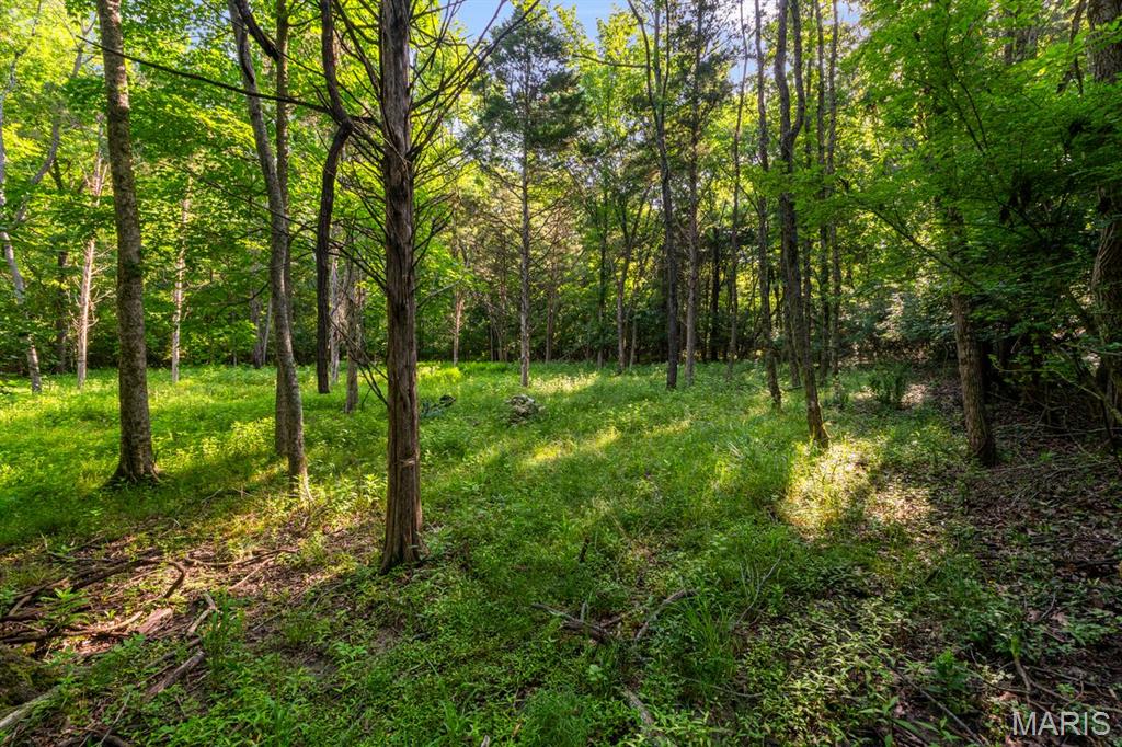 3701 Bear Tooth Lane