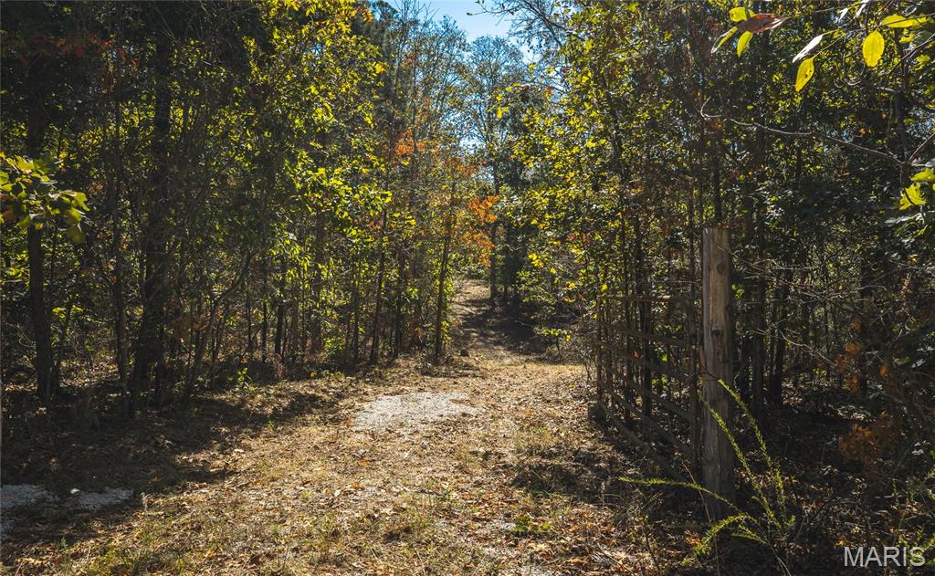 9560 Splitlimb Road Property Photo 1