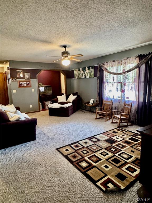 1247 Timberline Road Property Photo 3