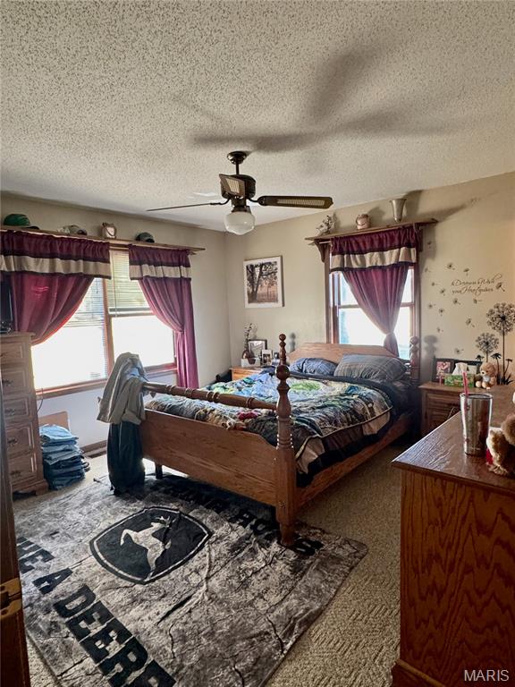 1247 Timberline Road Property Photo 7