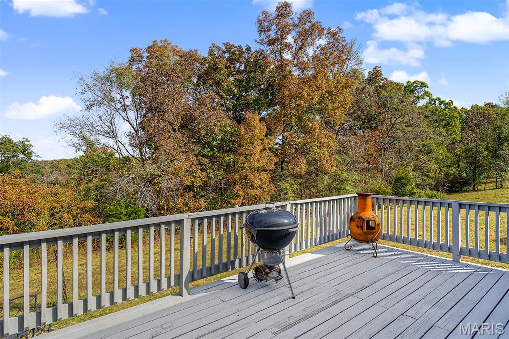 14625 State Route 21 Property Photo 15