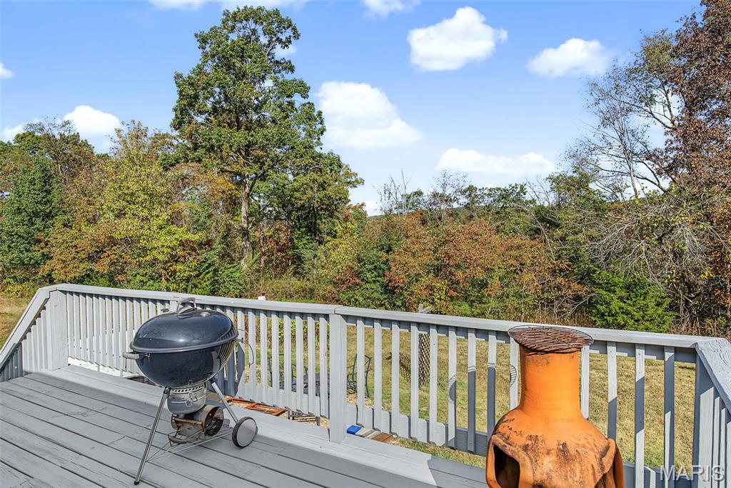 14625 State Route 21 Property Photo 16