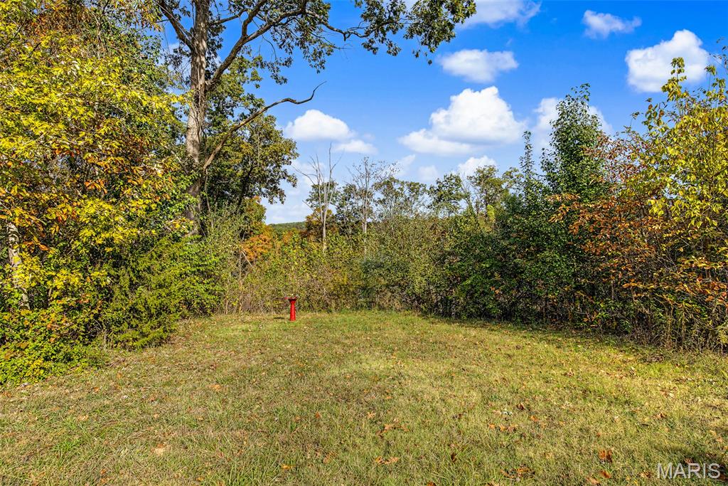 14625 State Route 21 Property Photo 17