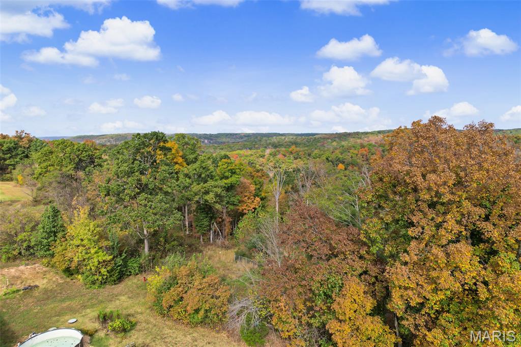 14625 State Route 21 Property Photo 22
