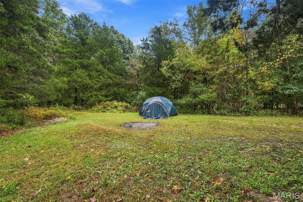3877 Highway D Property Photo 35