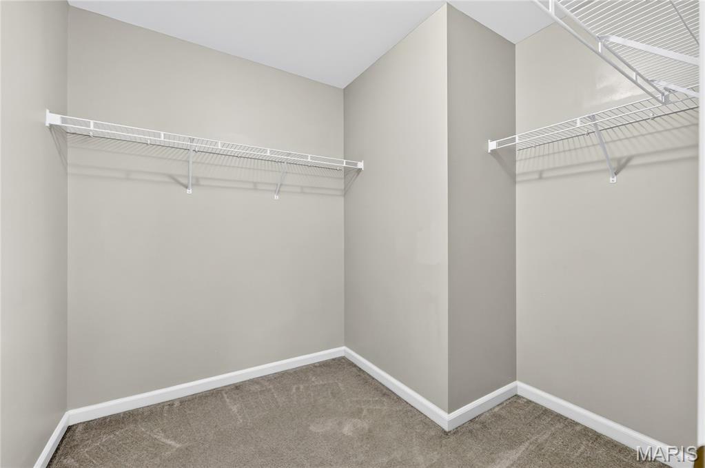 203 Sword Lily Drive Property Photo 18
